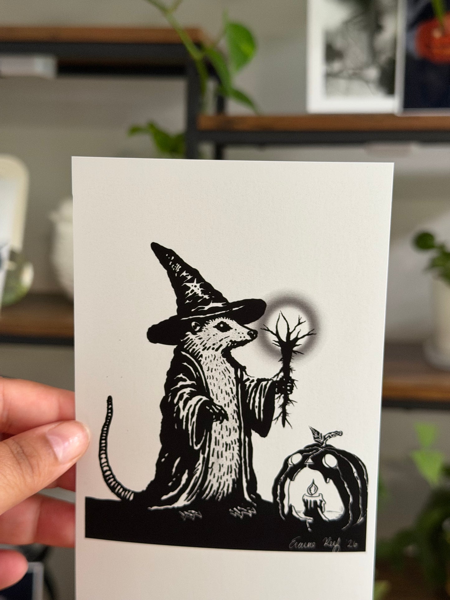 The Hollowroot Wizard