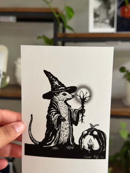 The Hollowroot Wizard